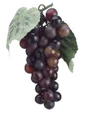 7" Artificial Grape Cluster - Burgundy