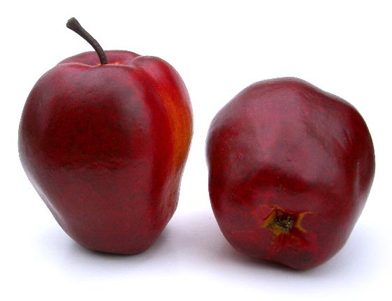 Red Delicious Apple