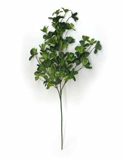 Boxwood Silk Spray
