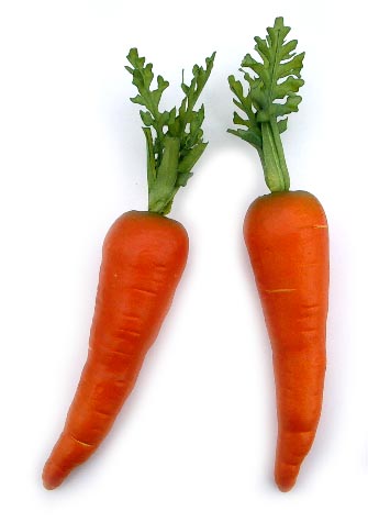 Country Carrot