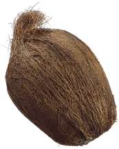 Artificial Coconut