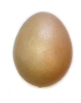 Foam Brown Egg