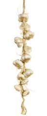 Artificial Garlic String