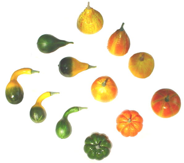 Assorted Gourds