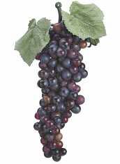 Artificial Grape Cluster - 5" Small Burgundy