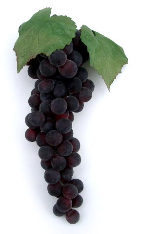 11" Artificial Concord Grape Cluster