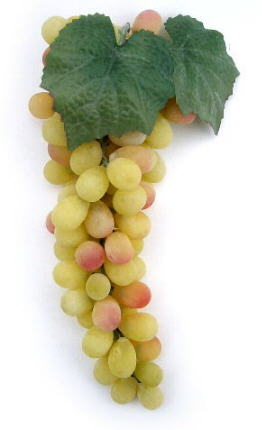 11" Artificial Lemon Green Grape Cluster