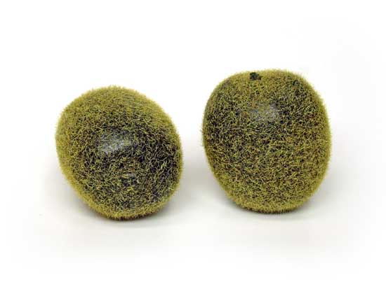 Artificial Kiwi - Natural