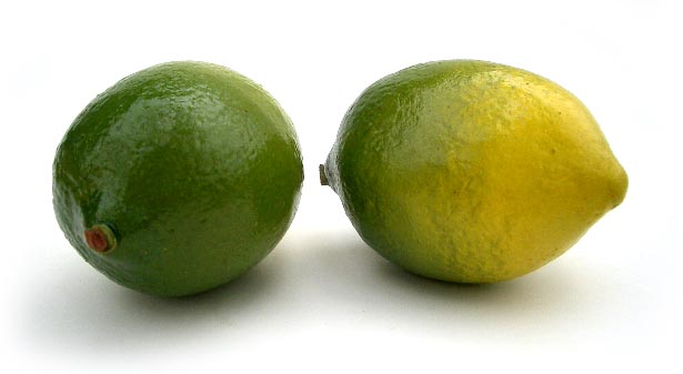 Artificial Lime Green/Yellow