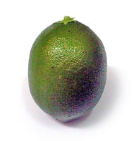 Artificial Weighted Lime 2.7"