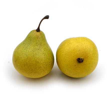 Green/Yellow Love Pear (miniature)