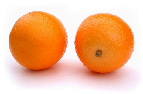 Artificial Small Orange