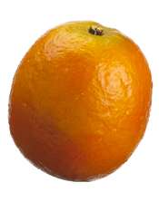 Artificial Weighted Orange