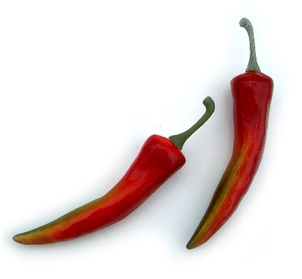 Medium Red Chili Pepper
