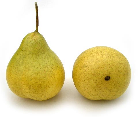 Artificial Yellow/Green (Small) Demi Pear