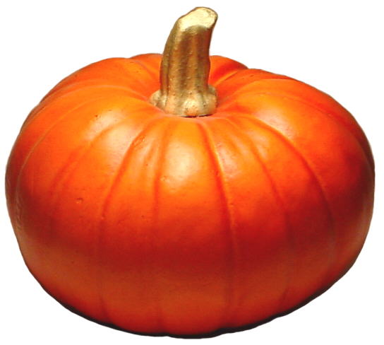 7" Deep Orange Pumpkin