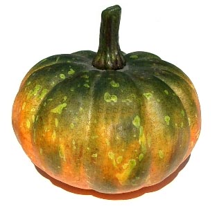 3.25" Yellow Green Pumpkin