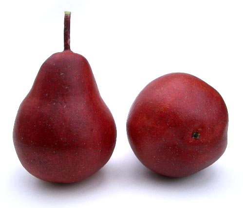 Artificial Red Pear(Life Size)