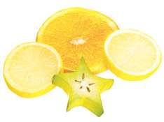 Artificial Fruit Slices - Assorted