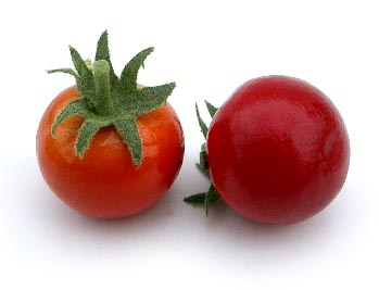 Cherry Tomato