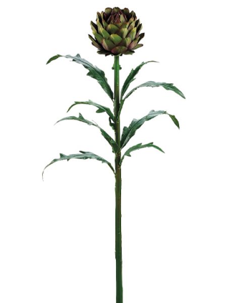 Artichoke Spray